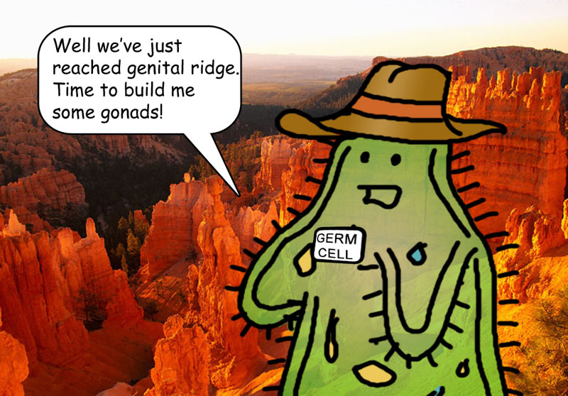 On the Range Near Genital Ridge, February 8th, 2007, PlanetName